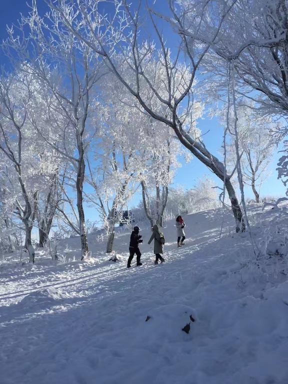 Songhua Lake Qingshan Snow View Apartment Jilin Bagian luar foto
