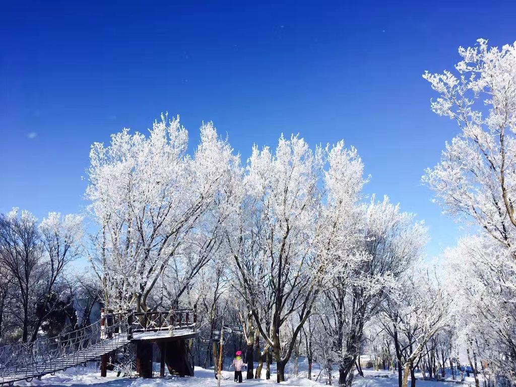 Songhua Lake Qingshan Snow View Apartment Jilin Bagian luar foto